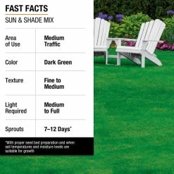 Vigoro 7 lbs. Sun and Shade Grass Seed Mix with Water Saver Seed Coating 26 Vigoro 7 lbs. Sun and Shade Grass Seed Mix with Water Saver Seed Coating -VIGORO Store vigoro grass seed 25445 fa 1000