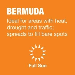 Vigoro 10 lbs. Bermuda Grass Seed Blend with Water Saver Seed Coating -VIGORO Store vigoro grass seed 25502 a0 1000