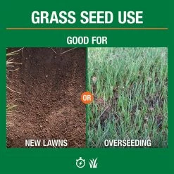 Vigoro 3 lbs. Tall Fescue Grass Seed Blend with Water Saver Seed Coating -VIGORO Store vigoro grass seed 25684 4f 1000