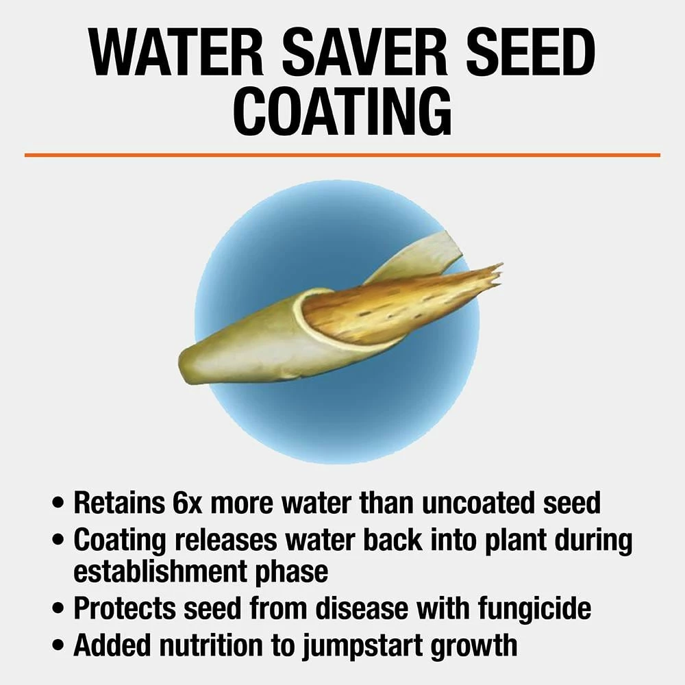 Vigoro 7 lbs. Tall Fescue Grass Seed Blend with Water Saver Seed Coating 7 Vigoro 7 lbs. Tall Fescue Grass Seed Blend with Water Saver Seed Coating - Image 5