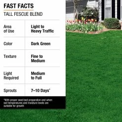 Vigoro 7 lbs. Tall Fescue Grass Seed Blend with Water Saver Seed Coating 26 Vigoro 7 lbs. Tall Fescue Grass Seed Blend with Water Saver Seed Coating -VIGORO Store vigoro grass seed 25685 fa 1000