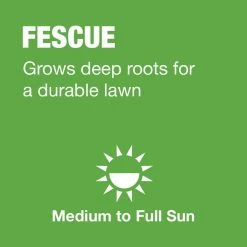 Vigoro 20 lbs. Tall Fescue Grass Seed Blend with Water Saver Seed Coating 18 Vigoro 20 lbs. Tall Fescue Grass Seed Blend with Water Saver Seed Coating -VIGORO Store vigoro grass seed 25686 a0 1000