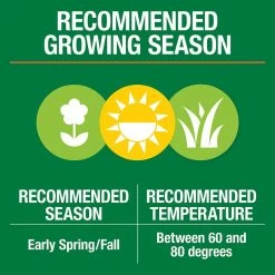 Vigoro 20 lbs. Sun and Shade Grass Seed Mix with Water Saver Seed Coating 24 Vigoro 20 lbs. Sun and Shade Grass Seed Mix with Water Saver Seed Coating -VIGORO Store vigoro grass seed 25687 1f 1000