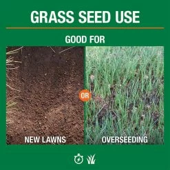 Vigoro 20 lbs. Sun and Shade Grass Seed Mix with Water Saver Seed Coating 23 Vigoro 20 lbs. Sun and Shade Grass Seed Mix with Water Saver Seed Coating -VIGORO Store vigoro grass seed 25687 4f 1000