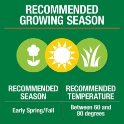 Vigoro 3 lbs. Dense Shade Grass Seed Mix with Water Saver Seed Coating 24 Vigoro 3 lbs. Dense Shade Grass Seed Mix with Water Saver Seed Coating -VIGORO Store vigoro grass seed 25689 1f 1000