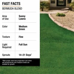 Vigoro 1 lb. Bermuda Grass Seed Blend with Water Saver Seed Coating 10 Vigoro 1 lb. Bermuda Grass Seed Blend with Water Saver Seed Coating -VIGORO Store vigoro grass seed 52334 1f 1000