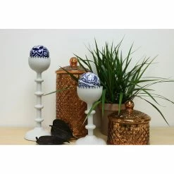 Vigoro 6 in. Grower's Choice Dracaena Indoor Plant in Small White Ribbed Plastic Decor Planter (2-Pack) 9 Vigoro 6 in. Grower's Choice Dracaena Indoor Plant in Small White Ribbed Plastic Decor Planter (2-Pack) -VIGORO Store vigoro indoor plants co jc06 3 vi wh c3 1000