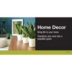 Vigoro 6 in. Golden Pothos Indoor Plant in Small White Ribbed Plastic Decor Planter (2-Pack) -VIGORO Store vigoro indoor plants co poth 3 vi wh 40 1000