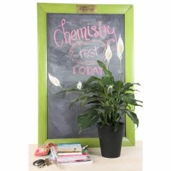 Vigoro 6 in. Peace Lily Indoor Plant in Small White Ribbed Plastic Decor Planter (2-Pack) 15 Vigoro 6 in. Peace Lily Indoor Plant in Small White Ribbed Plastic Decor Planter (2-Pack) -VIGORO Store vigoro indoor plants co sy06 3 vi wh c3 1000