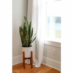 Vigoro 6 in. Sansevieria Snake Plant in Black Decor Pot 9 Vigoro 6 in. Sansevieria Snake Plant in Black Decor Pot -VIGORO Store vigoro indoor plants sans6vigoro c3 1000