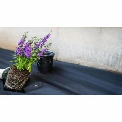 Vigoro 4 ft. x 200 ft. Point Bond Landscape Fabric 19 Vigoro 4 ft. x 200 ft. Point Bond Landscape Fabric -VIGORO Store vigoro landscape fabric nmv04200b 77 1000