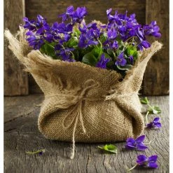 Vigoro 3 ft. x 24 ft. 100% Natural Burlap Landscape Fabric (2-Pack) 18 Vigoro 3 ft. x 24 ft. 100% Natural Burlap Landscape Fabric (2-Pack) -VIGORO Store vigoro landscape fabric nmvb0324 2pk c3 1000