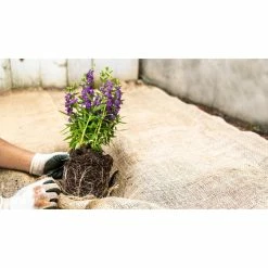 Vigoro 3 ft. x 24 ft. 100% Natural Burlap Landscape Fabric -VIGORO Store vigoro landscape fabric nmvb0324 c3 1000