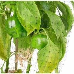 Vigoro 14 ft. x 14 ft. Polypropylene Bird Block Netting and Barrier -VIGORO Store vigoro landscape fabric nmvbb1414 1d 1000