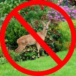 Vigoro 7 ft. x 100 ft. Polypropylene Deer Block Netting Barrier, UV Treated (5-Pack) 12 Vigoro 7 ft. x 100 ft. Polypropylene Deer Block Netting Barrier, UV Treated (5-Pack) -VIGORO Store vigoro landscape fabric nmvdb07100h 5pk a0 1000