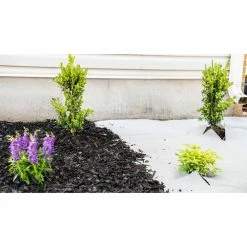 Vigoro 4 ft. x 100 ft. Matrix Grid Landscape Weed Control Fabric 29 Vigoro 4 ft. x 100 ft. Matrix Grid Landscape Weed Control Fabric -VIGORO Store vigoro landscape fabric vpnm410085 31 1000