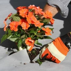 Vigoro 4 ft. x 50 ft. Matrix Grid Heavy-Duty Landscape Fabric (4-Pack) 18 Vigoro 4 ft. x 50 ft. Matrix Grid Heavy-Duty Landscape Fabric (4-Pack) -VIGORO Store vigoro landscape fabric vpnm45085 4pk 66 1000