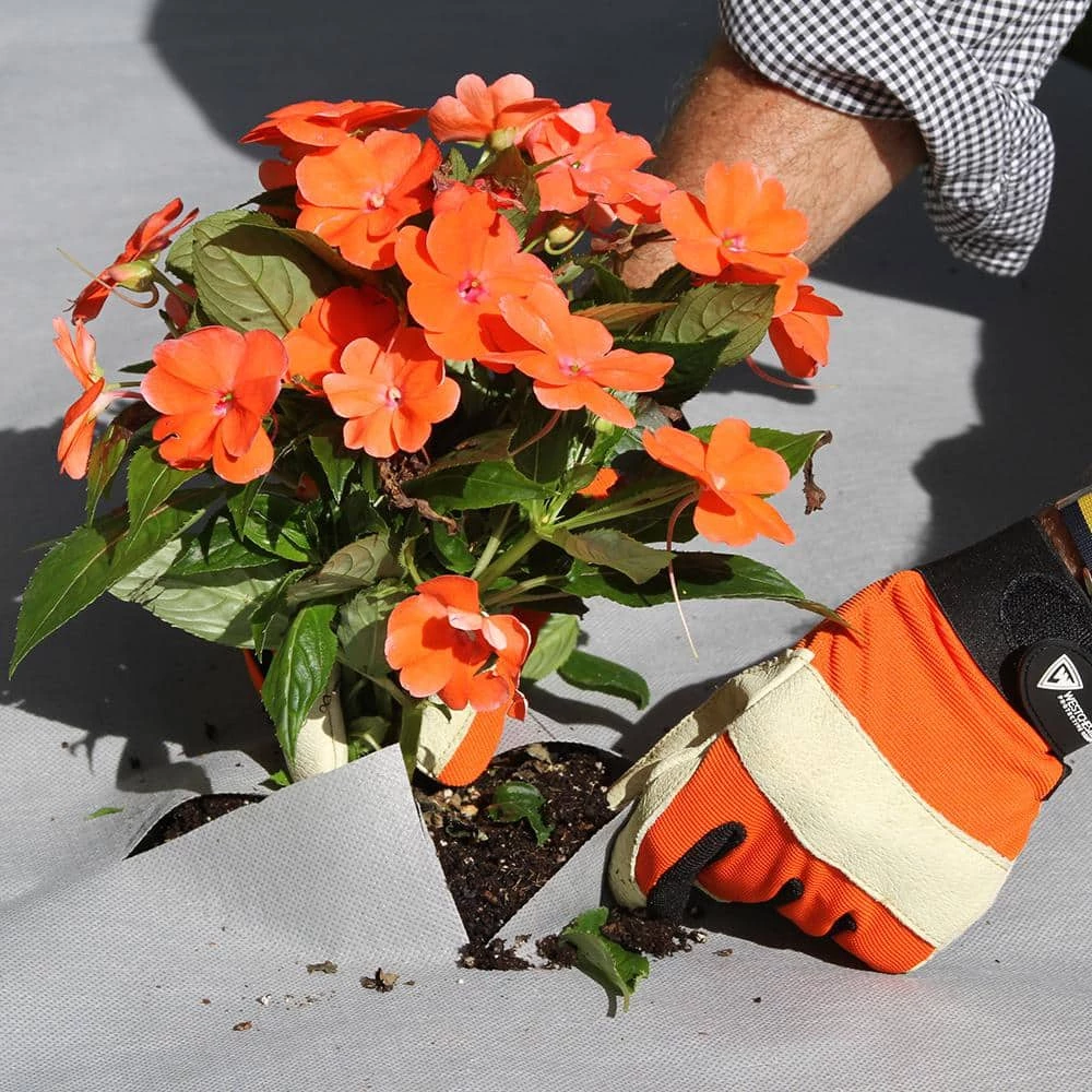 Vigoro 4 ft. x 50 ft. Matrix Grid Heavy-Duty Landscape Fabric (4-Pack) 7 Vigoro 4 ft. x 50 ft. Matrix Grid Heavy-Duty Landscape Fabric (4-Pack) - Image 5