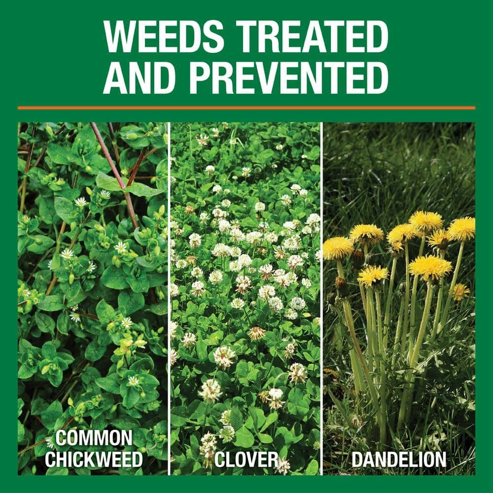 Vigoro 43.9 lbs. 15,000 sq. ft. Weed and Feed Weed Killer Plus Lawn Fertilizer 4 Vigoro 43.9 lbs. 15,000 sq. ft. Weed and Feed Weed Killer Plus Lawn Fertilizer - Image 2