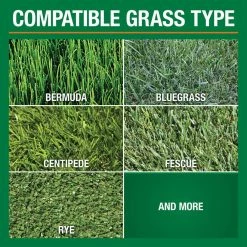 Vigoro 14 lbs. 5,000 sq. ft. Lawn Fertilizer for All Grass Types 13 Vigoro 14 lbs. 5,000 sq. ft. Lawn Fertilizer for All Grass Types -VIGORO Store vigoro lawn fertilizers 52203pm 4f 1000