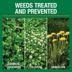 Vigoro 14.6 lbs. 5,000 sq. ft. Weed and Feed Weed Killer Plus Lawn Fertilizer 14 Vigoro 14.6 lbs. 5,000 sq. ft. Weed and Feed Weed Killer Plus Lawn Fertilizer -VIGORO Store vigoro lawn fertilizers 52210 c3 1000