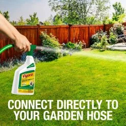 Vigoro 32 oz. 7,500 sq. ft. Spring Ready-to-Spray Concentrate Weed and Feed Lawn Fertilizer 29 Vigoro 32 oz. 7,500 sq. ft. Spring Ready-to-Spray Concentrate Weed and Feed Lawn Fertilizer -VIGORO Store vigoro lawn fertilizers hg 52511 2 76 1000