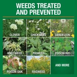 Vigoro 32 oz. 7,500 sq. ft. Spring Ready-to-Spray Concentrate Weed and Feed Lawn Fertilizer 24 Vigoro 32 oz. 7,500 sq. ft. Spring Ready-to-Spray Concentrate Weed and Feed Lawn Fertilizer -VIGORO Store vigoro lawn fertilizers hg 52511 2 c3 1000