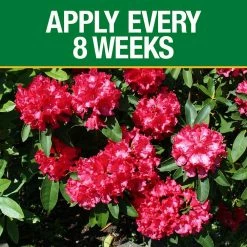 Vigoro 3.5 lb. All Season Azalea Camellia and Rhododendron Plant Food (10-8-8) -VIGORO Store vigoro plant food fertilizer 124248 1f 1000