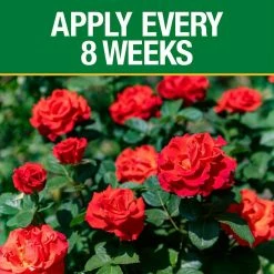 Vigoro 3.5 lb. All Season Rose Plant Food (12-6-10) 13 Vigoro 3.5 lb. All Season Rose Plant Food (12-6-10) -VIGORO Store vigoro plant food fertilizer 124250 1f 1000