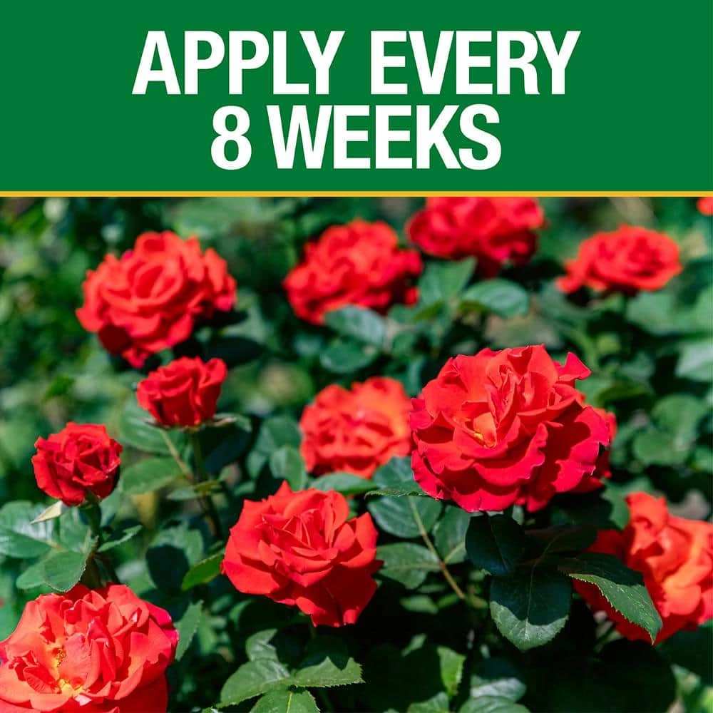 Vigoro 3.5 lb. All Season Rose Plant Food (12-6-10) 8 Vigoro 3.5 lb. All Season Rose Plant Food (12-6-10) - Image 6