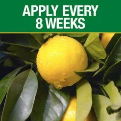 Vigoro 3.5 lb. All Season Citrus and Avocado Plant Food (6-4-6) -VIGORO Store vigoro plant food fertilizer 133244 1f 1000