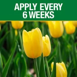 Vigoro 3.5 lb. All Season Bulb Fuel Plant Food (9-9-6) -VIGORO Store vigoro plant food fertilizer 156269 1f 1000