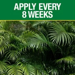 Vigoro 20 lb. All Season Ixora and Ornamental Plant Food (8-4-8) 9 Vigoro 20 lb. All Season Ixora and Ornamental Plant Food (8-4-8) -VIGORO Store vigoro plant food fertilizer 162227 1f 1000