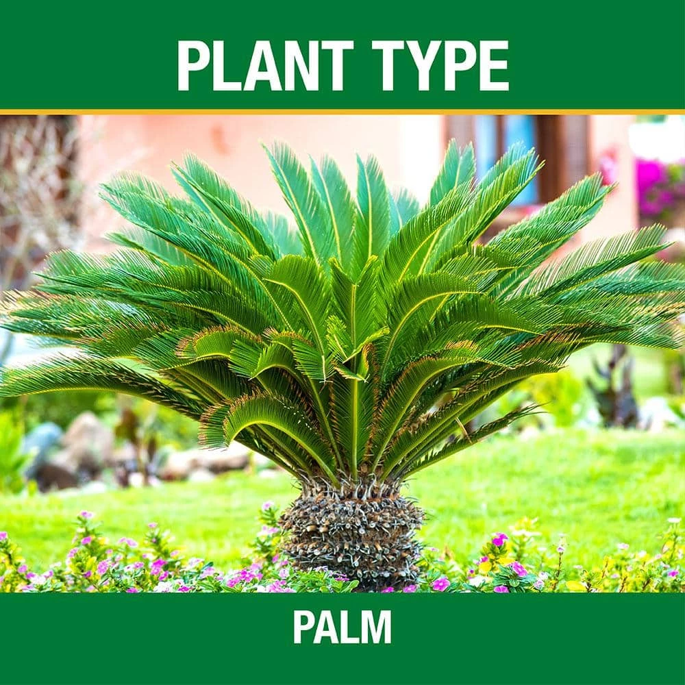 Vigoro 20 lb. All Season Ixora and Ornamental Plant Food (8-4-8) 4 Vigoro 20 lb. All Season Ixora and Ornamental Plant Food (8-4-8) - Image 2