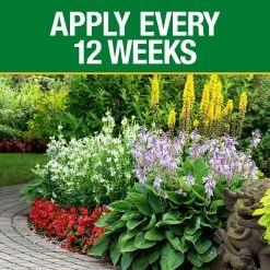 Vigoro 5 lb. All Season All Purpose Plant Food (12-5-7) 9 Vigoro 5 lb. All Season All Purpose Plant Food (12-5-7) -VIGORO Store vigoro plant food fertilizer 611612 1f 1000