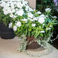 Vigoro 12 in. Plastic Deep Planter Liner 8 Vigoro 12 in. Plastic Deep Planter Liner -VIGORO Store vigoro plant liners dl12vg 4f 1000