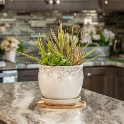 Vigoro 10 in. Bamboo Plant Saucer 12 Vigoro 10 in. Bamboo Plant Saucer -VIGORO Store vigoro planter saucers bbs10vg 1f 1000