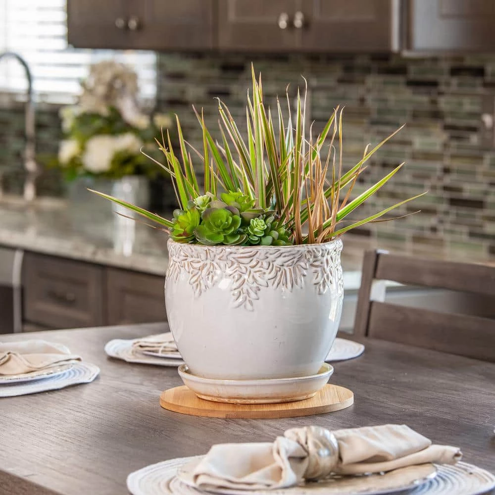 Vigoro 10 in. Bamboo Plant Saucer 7 Vigoro 10 in. Bamboo Plant Saucer - Image 5