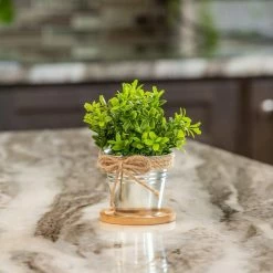 Vigoro 4 in. Bamboo Plant Saucer 11 Vigoro 4 in. Bamboo Plant Saucer -VIGORO Store vigoro planter saucers bbs4vg 1f 1000