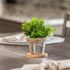 Vigoro 4 in. Bamboo Plant Saucer 13 Vigoro 4 in. Bamboo Plant Saucer -VIGORO Store vigoro planter saucers bbs4vg fa 1000