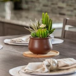 Vigoro 8 in. Bamboo Plant Saucer 12 Vigoro 8 in. Bamboo Plant Saucer -VIGORO Store vigoro planter saucers bbs8vg 1f 1000