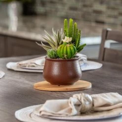 Vigoro 8 in. Bamboo Plant Saucer 13 Vigoro 8 in. Bamboo Plant Saucer -VIGORO Store vigoro planter saucers bbs8vg 44 1000