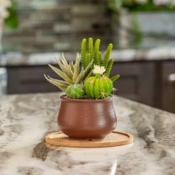 Vigoro 8 in. Bamboo Plant Saucer 14 Vigoro 8 in. Bamboo Plant Saucer -VIGORO Store vigoro planter saucers bbs8vg fa 1000