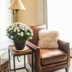 Vigoro 10 in. Cork Mat -VIGORO Store vigoro planter saucers cm10phbdi 1f 1000