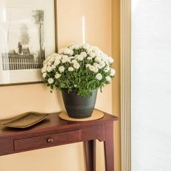 Vigoro 10 in. Cork Mat -VIGORO Store vigoro planter saucers cm10phbdi 4f 1000