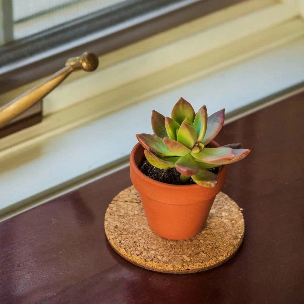 Vigoro 4 in. Cork Mat 4 Vigoro 4 in. Cork Mat - Image 2