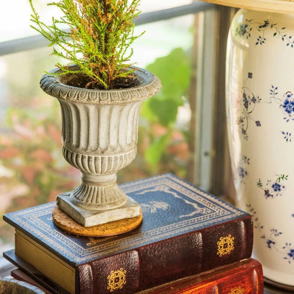 Vigoro 4 in. Cork Mat 7 Vigoro 4 in. Cork Mat - Image 5