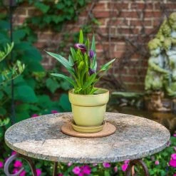 Vigoro 6 in. Cork Mat -VIGORO Store vigoro planter saucers cm6phbdi 44 1000