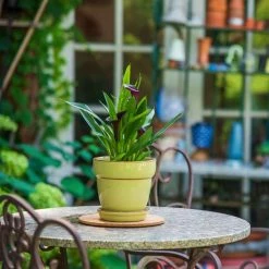 Vigoro 6 in. Cork Mat -VIGORO Store vigoro planter saucers cm6phbdi fa 1000