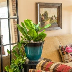 Vigoro 12 in. Heavy Duty Plant Saucer -VIGORO Store vigoro planter saucers sp12vg 44 1000